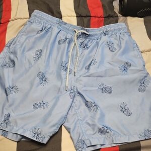 Kirkland Signature Light Blue Pineapple Swim Trunks